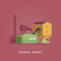 Vector flat illustration. Alternative sources of energy. Green energy. Biomass energy.